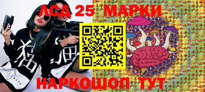 PSILOCYBIN Северобайкальск