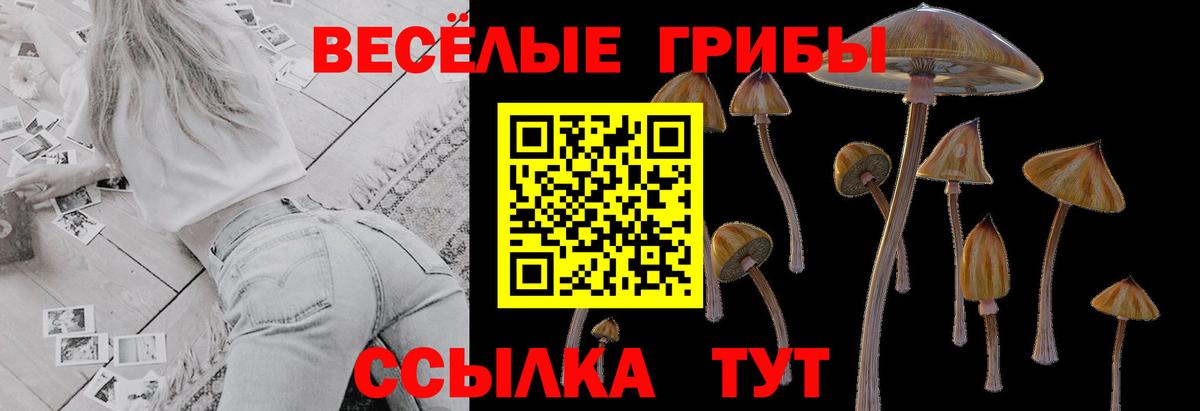 Саратов  Псилоцибиновые грибы Psilocybe  Вход с VPN  Галлюциногенные грибы мицелий 